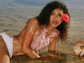 SamirraSanchez hd toy